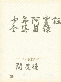 少年阿宾钰慧篇全集目录封面