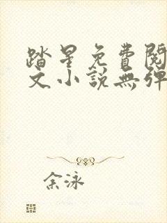 踏星免费阅读全文小说无弹窗