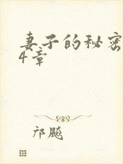 妻子的秘密 第4章