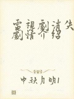 电视剧消失的她剧情介绍