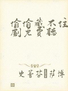 偷偷藏不住广播剧免费听