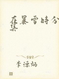 在暴雪时分有几集封面