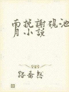 南挽谢砚池姜弥月小说封面