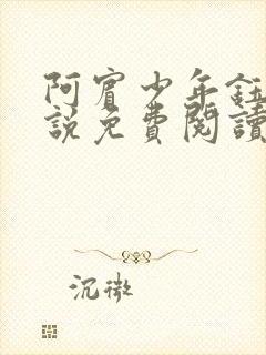 阿宾少年钰慧小说免费阅读笔趣阁