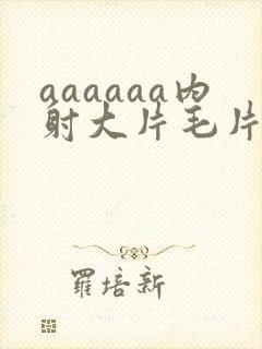 aaaaaa内射大片毛片