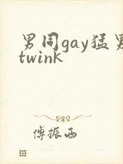 男同gay猛男twink