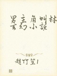 男主角叫林萧的玄幻小说