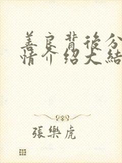 善良背后分集剧情介绍大结局封面