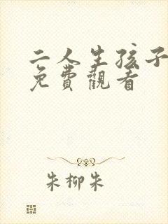 二人生孩子日剧免费观看