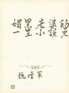 媚黑老婆的下贱一生小说免费阅读