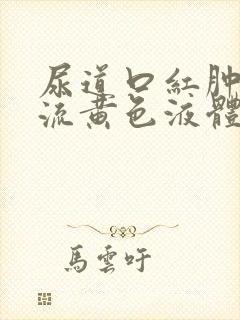 尿道口红肿疼痛流黄色液体