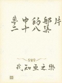 梦中的那片海第二十八集