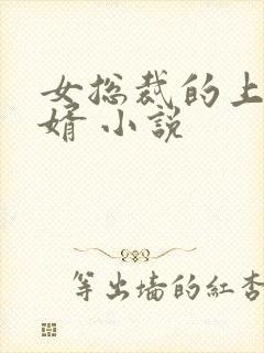 女总裁的上门龙婿 小说