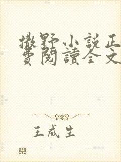 撒野小说正版免费阅读全文无删减