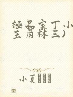 极品家丁小说(主角林三)封面