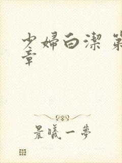 少妇白洁 第七章