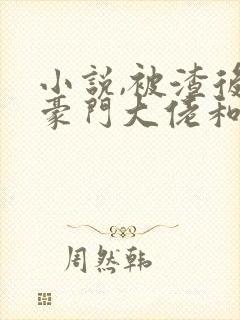 小说,被渣后,豪门大佬和我闪婚了