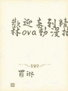 欢迎来到精灵森林ova动漫播放封面