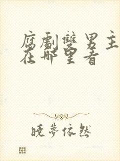 腐剧双男主动漫在哪里看