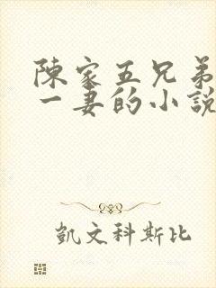 陈家五兄弟共娶一妻的小说叫什么封面