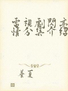 电视剧闪亮爱剧情分集介绍封面