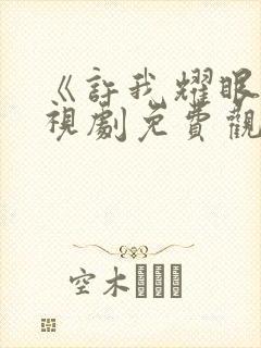 《许我耀眼》电视剧免费观看全集