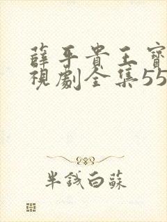 薛平贵王宝钏电视剧全集55集免费封面