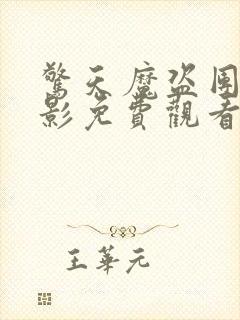 惊天魔盗团3电影免费观看