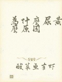 为什么尿黄是什么原因