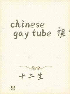 chinese gay tube 视频