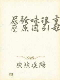 尿骚味很重是什么原因引起的