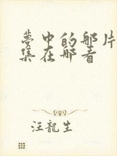 梦中的那片海全集在哪看封面