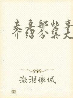 夫妻那些事剧情介绍分集大结局