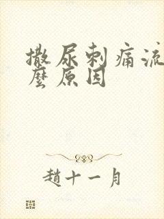 撒尿刺痛流血什么原因