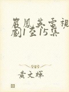 严凤英电视连续剧1至15集封面