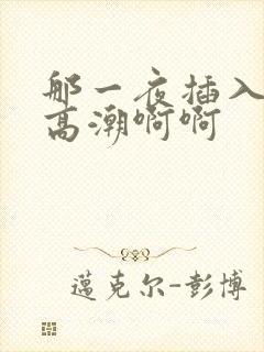 那一夜插入少妇高潮啊啊