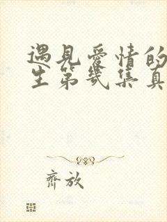 遇见爱情的利先生第几集真相大白