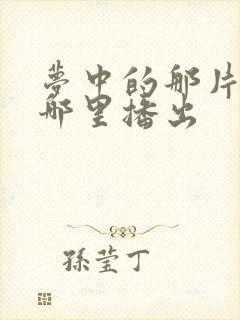 梦中的那片海在哪里播出