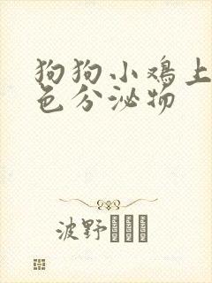 狗狗小鸡上有黄色分泌物