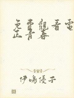 免费观看电视剧正青春