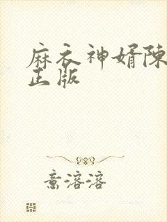 麻衣神婿陈黄皮正版