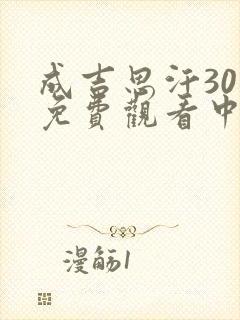 成吉思汗30集免费观看中文版