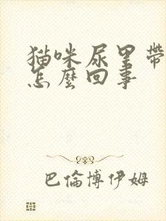 猫咪尿里带血是怎么回事