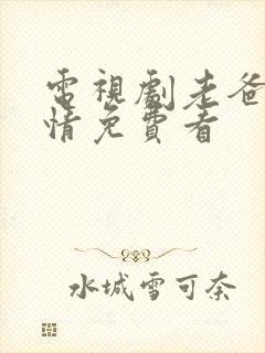 电视剧老爸的爱情免费看