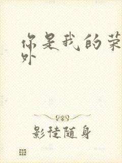 你是我的荣耀番外