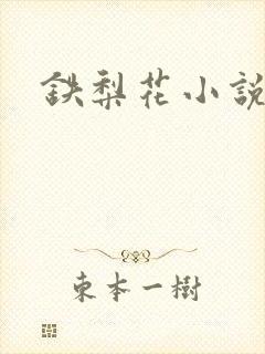 铁梨花小说