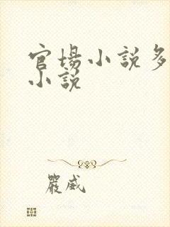 官场小说多女主小说封面