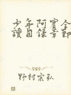 少年阿宾全文阅读目录章节