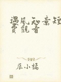 遇风知意短剧免费观看