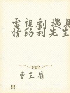 电视剧 遇见爱情的利先生
